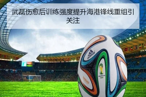 武磊伤愈后训练强度提升海港锋线重组引关注